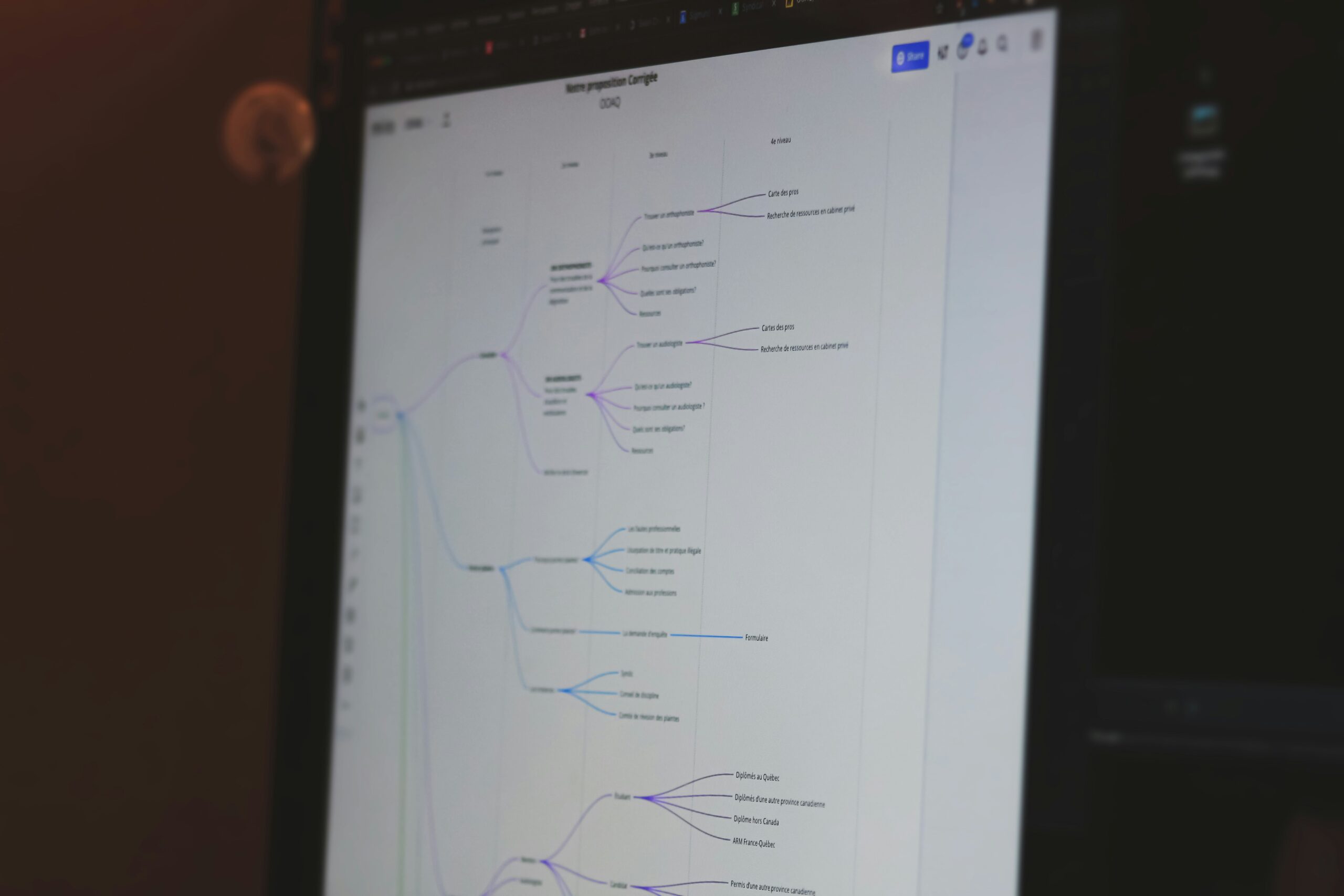 Computer screen displaying a mind map or flowchart.