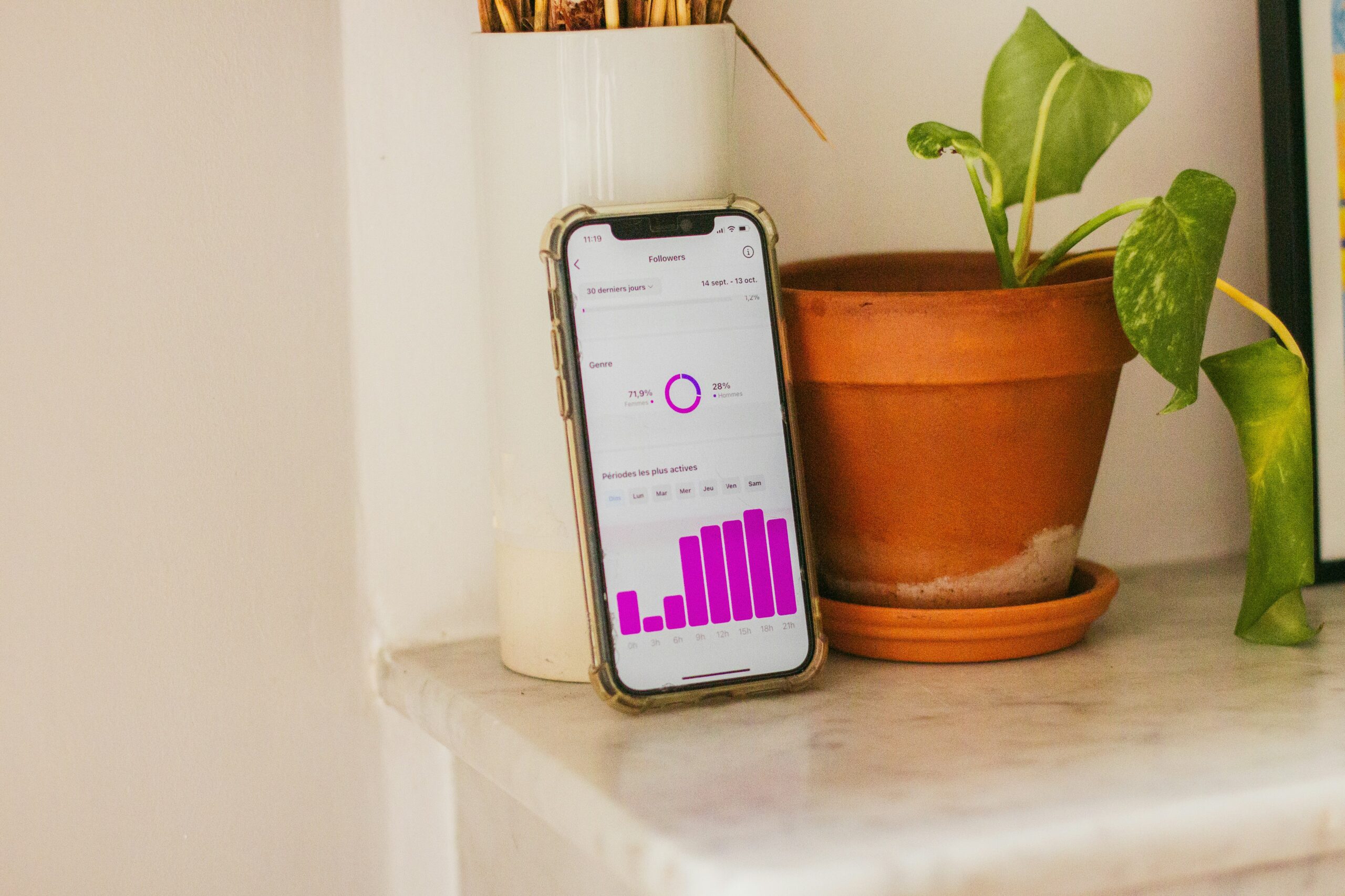 Smartphone displaying Instagram analytics with a plant in the background.