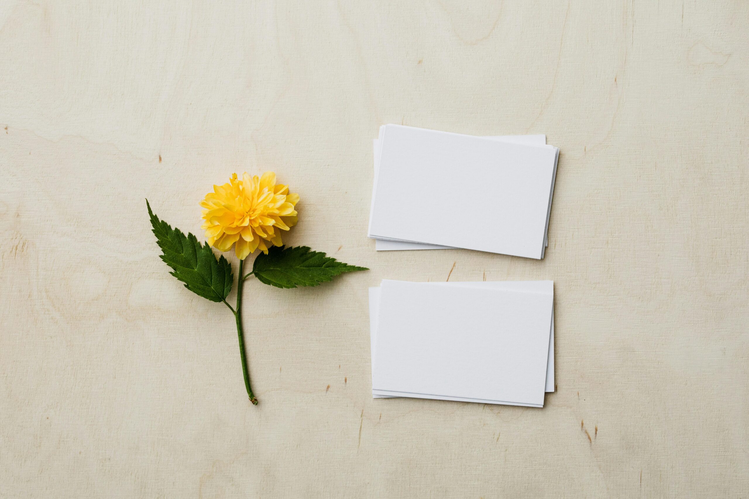 Yellow flower and blank business cards on wood surface.