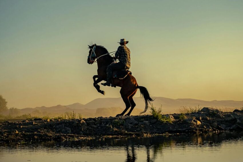 Find the perfect Google Ads agency in Texas to boost your sales
