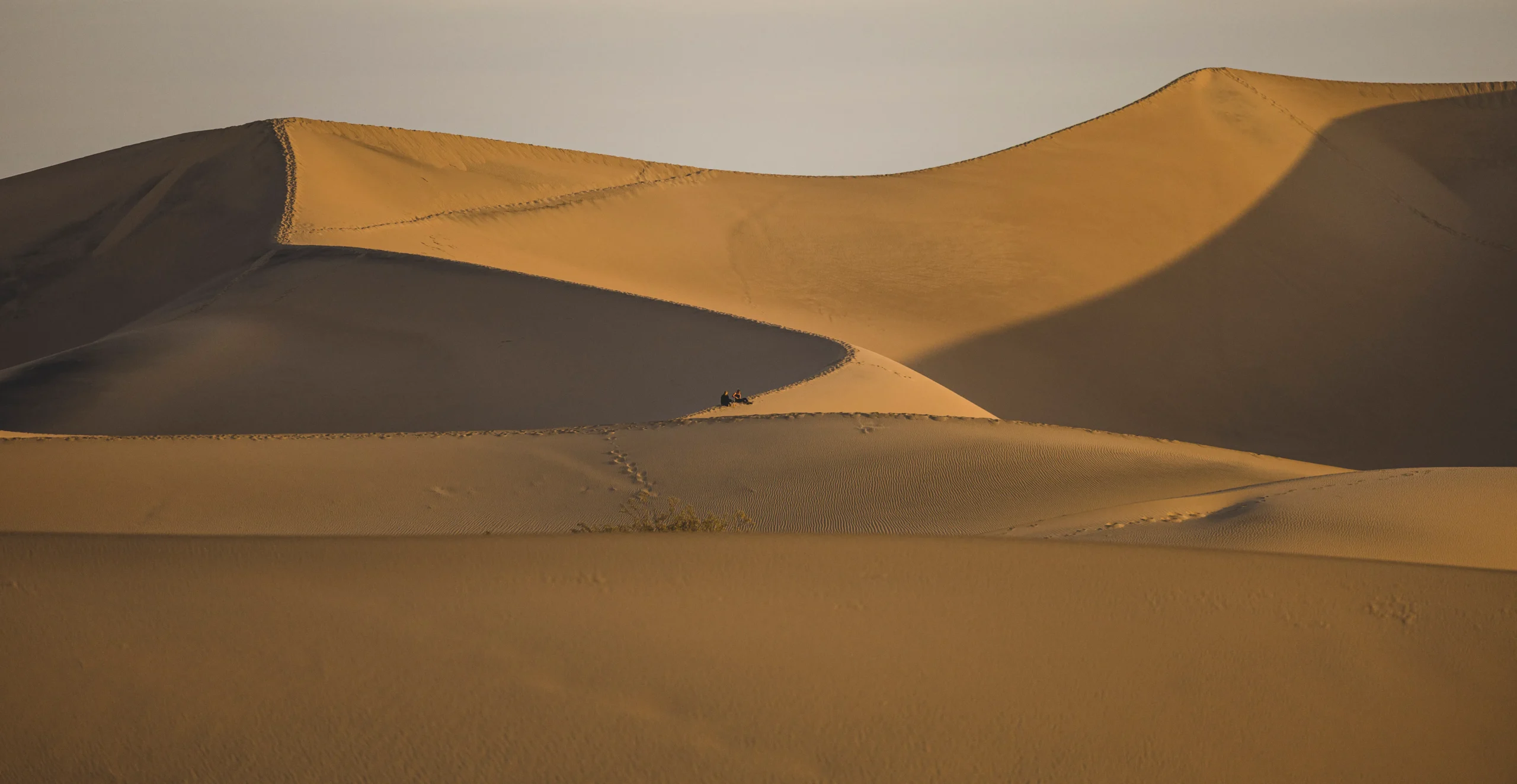 Rolling sand dunes in warm, golden light